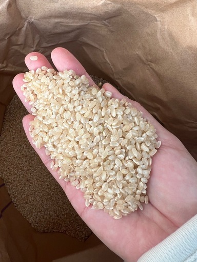高品質なお米30kg｜粘りがあり美味しい｜在庫あり・まとめ買い割引