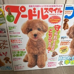 雑誌　プードルスタイル3冊セットの画像