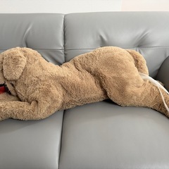 IKEA 犬の画像