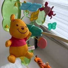 プーメリーの画像