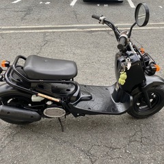 ホンダ　ズーマー50実働　関西の画像