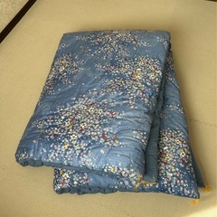 和掛け布団　シングルサイズの画像