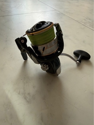 DAIWA LUVIAS LT4000-CXH