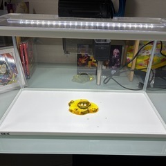 50cm水槽セットの画像