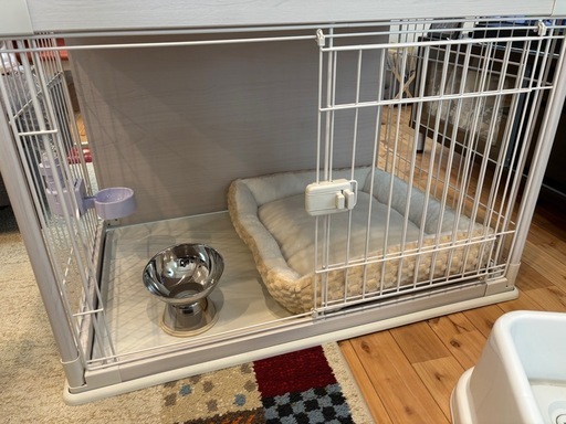 犬ゲージなどなどスペシャルセット‼️