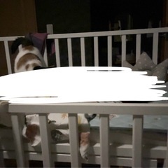 ベビーベッド(70×120)120)の画像