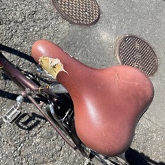 BE-ALL ビーオール Bonnet Noir ALIZE TR2 ボネノワール アリゼTR2 [クロスバイク] の画像