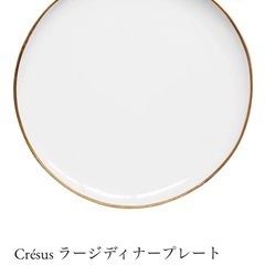 アスティエ・ド・ヴィラット　クレジュス31.5cm ディナープレートの画像