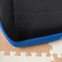 リーマン　ジュニアの画像