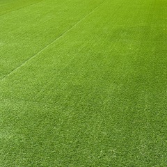 【新品未開封】カインズ 丸巻きリアル人工芝 2m×10m（芝高35mm）定価47,800円の画像