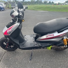 ヤマハシグナスの画像