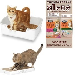 新品未使用　ニャンとも清潔トイレ 猫壱つめとぎ セット [猫砂、シート付] 猫　トイレの画像