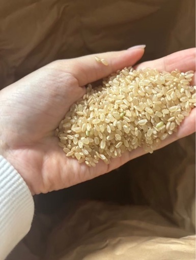 農家直売「恋の予感」玄米30kg【令和7年度産】②