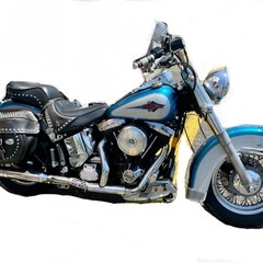 ハーレー
の画像