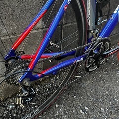 CINELLI EXPERIENCE 46の画像