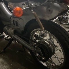 リトルカブの画像