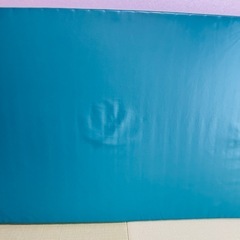 【10枚まとめ】molten モルテン  Sofia way ソフィア ウェイ 体圧分散式 静止型 マットレス  防水・清拭タイプ 介護用 マットレス の画像