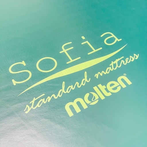 【8枚まとめ】molten モルテン  Sofia way ソフィア ウェイ 体圧分散式 静止型 マットレス  防水・清拭タイプ 介護用 マットレス