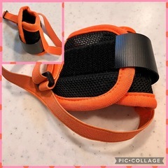 ドギーマン ステンレス食器 （2個セット）+おまけ犬用マズル（口輪）の画像