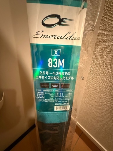 新品未使用 エギングセット