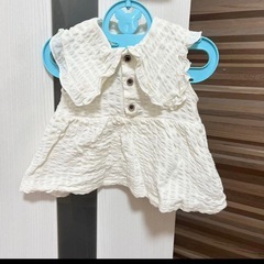 ビッグ襟　トップス　襟付きTシャツ しまむら　バースデイ　西松屋　テータテートの画像