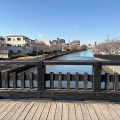 一人だと続かない人へ🌿ゆるウォーキング