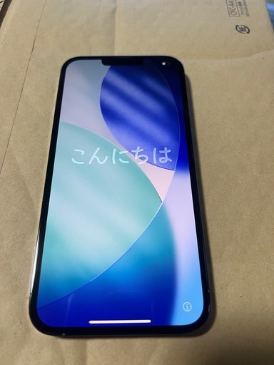 iPhone13Pro Max  128GB