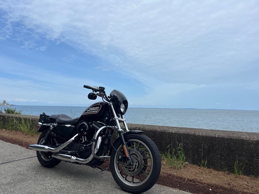 ［値下］Harley-Davidson XL883R 3拍子 ETCドラレコ他