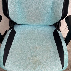 SECRET LAB TITAN Evo ミントグリーンの画像