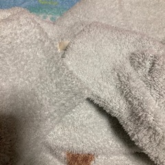 ジェラートピケ / ルームウェアの画像