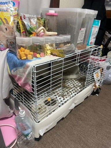 早い者勝ちです。うさぎ飼育セット