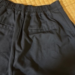 COLZA女子式服にもLサイズの画像