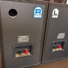 バイオリアのスピーカーとdussun のアンプの画像