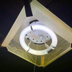 丸善電機 ラッキー 蛍光灯の画像