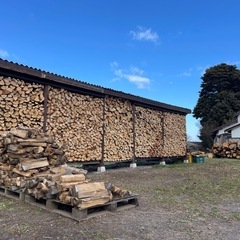 ナラ　玉切り済み丸太【薪】の画像