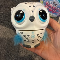 とんで！オウリー 空飛ぶおもちゃ おせわをしよう！の画像