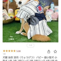 《戌壱》犬服　
浴衣　うちわ巾着付の画像