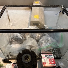 【早い者勝ち】水槽・フィルター・ろ材・備品一式セット！の画像