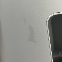 SALONIA ピュアブライトスチーマー　SAL22207SLの画像