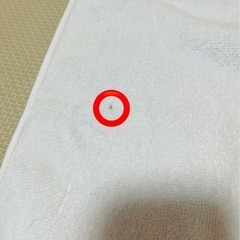 【訳あり】ROMAN HOLIDAY バスタオルの画像