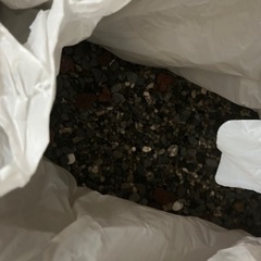 水槽セットとドラゴンスケール五色東錦の画像