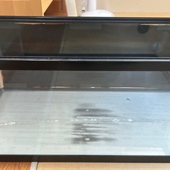 水槽セットとドラゴンスケール五色東錦の画像