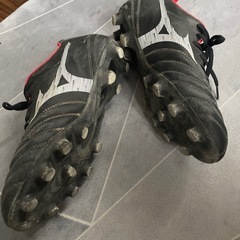 ほぼ新品サッカースパイク　25.0　モナルシーダネオの画像