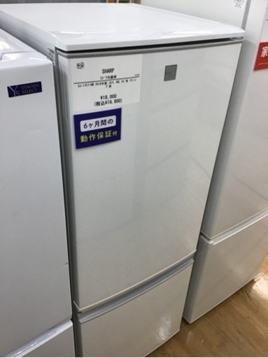 【トレファク神戸新長田店 買取/販売】取りに来られる方限定！SHARPの2ドア冷蔵庫2019年製のご紹介です！