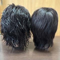 カットウィッグ 5個の画像