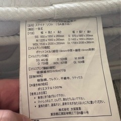 本日引き取り限定価格の画像