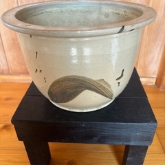 鉢の画像