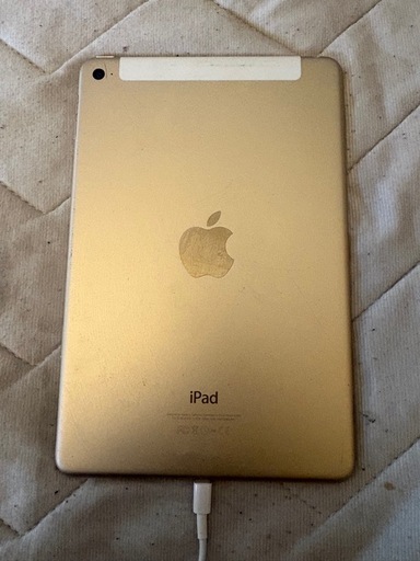 Apple  iPad  iPad mini4 128GBケース付き