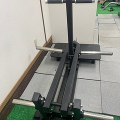 ベルトスクワットの画像