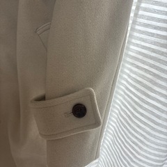 チャオパニック　コートの画像